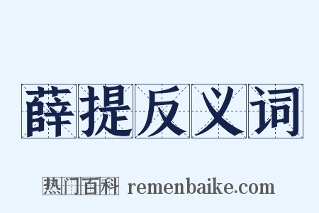 薛提反义词是什么意思的图片